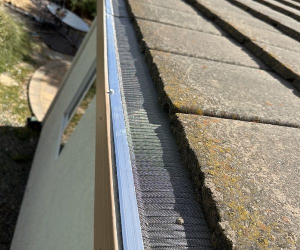 Gutter Guards